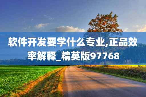 软件开发要学什么专业,正品效率解释_精英版97768