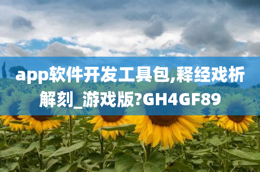 app软件开发工具包,释经戏析解刻_游戏版?GH4GF89