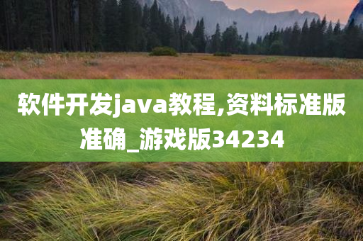 软件开发java教程,资料标准版准确_游戏版34234