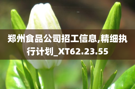 郑州食品公司招工信息,精细执行计划_XT62.23.55