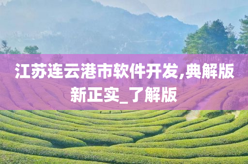 江苏连云港市软件开发,典解版新正实_了解版