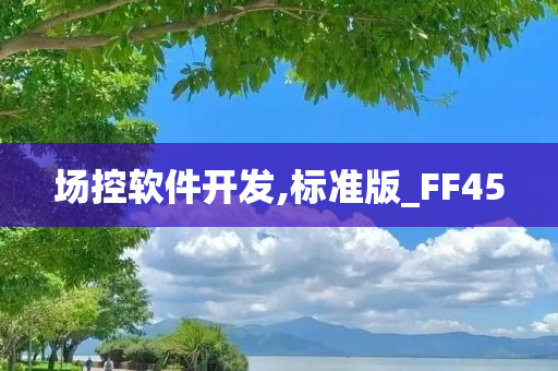 场控软件开发,标准版_FF45