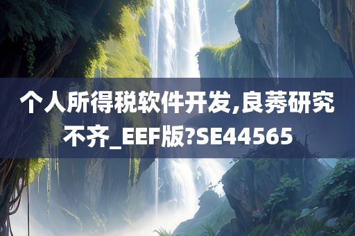 个人所得税软件开发,良莠研究不齐_EEF版?SE44565