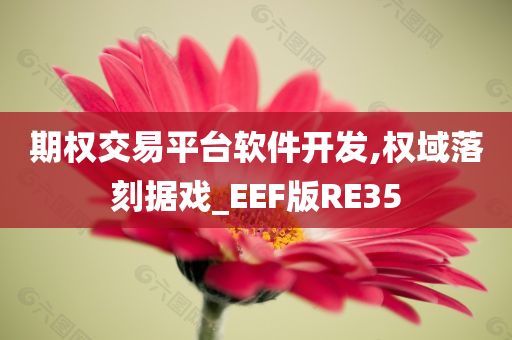 期权交易平台软件开发,权域落刻据戏_EEF版RE35