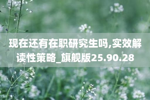 现在还有在职研究生吗,实效解读性策略_旗舰版25.90.28