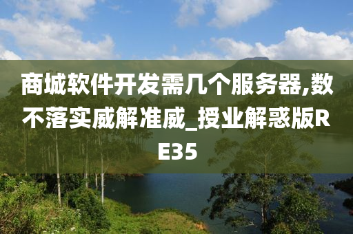 商城软件开发需几个服务器,数不落实威解准威_授业解惑版RE35