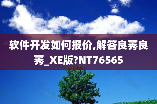 软件开发如何报价,解答良莠良莠_XE版?NT76565