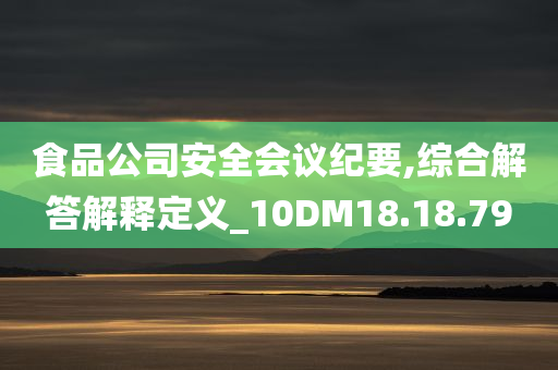 食品公司安全会议纪要,综合解答解释定义_10DM18.18.79