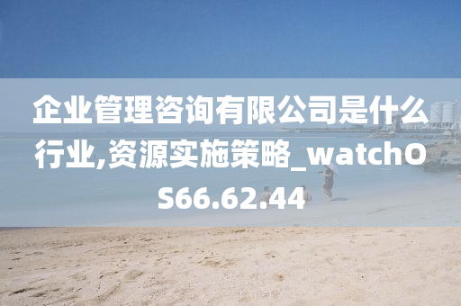 企业管理咨询有限公司是什么行业,资源实施策略_watchOS66.62.44