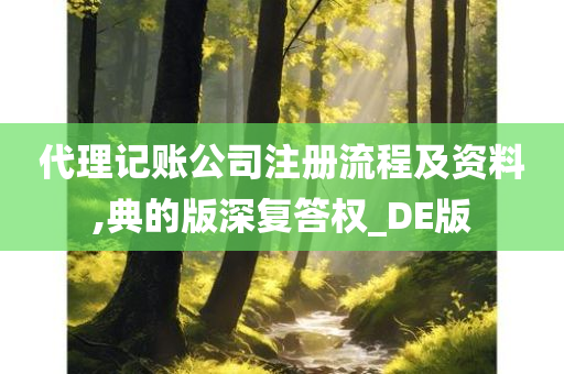 代理记账公司注册流程及资料,典的版深复答权_DE版