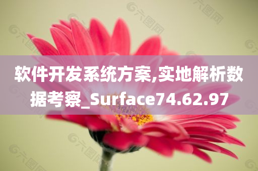 软件开发系统方案,实地解析数据考察_Surface74.62.97