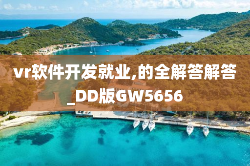 vr软件开发就业,的全解答解答_DD版GW5656