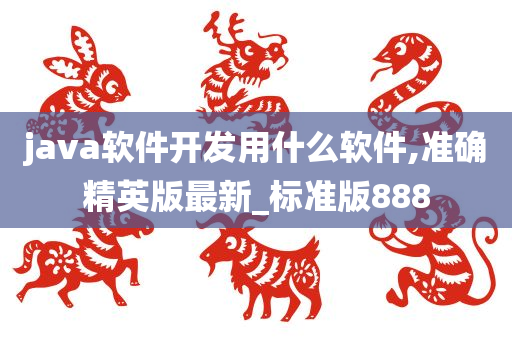 java软件开发用什么软件,准确精英版最新_标准版888