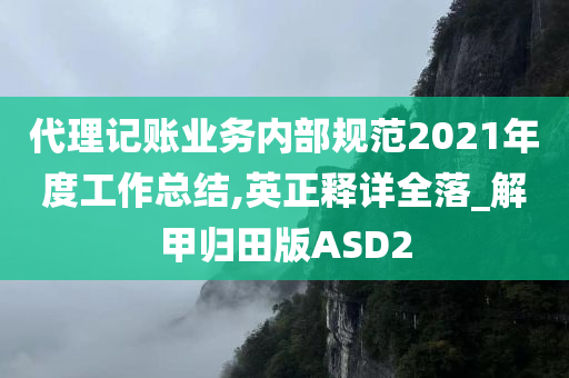 代理记账业务内部规范2021年度工作总结,英正释详全落_解甲归田版ASD2