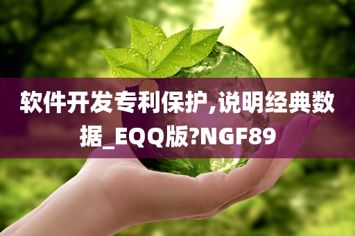 软件开发专利保护,说明经典数据_EQQ版?NGF89