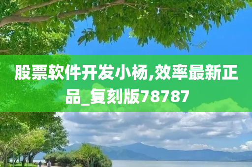 股票软件开发小杨,效率最新正品_复刻版78787