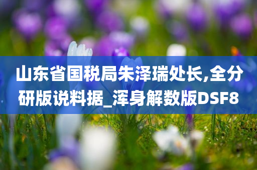 山东省国税局朱泽瑞处长,全分研版说料据_浑身解数版DSF8