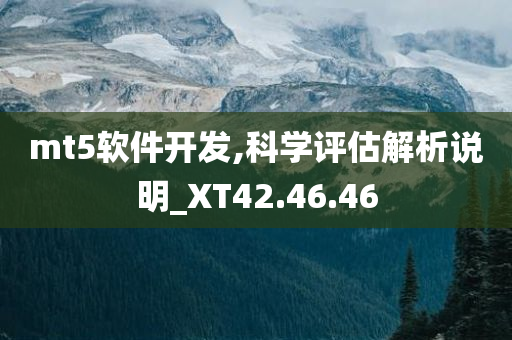 mt5软件开发,科学评估解析说明_XT42.46.46