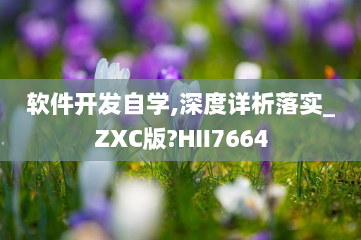 软件开发自学,深度详析落实_ZXC版?HII7664