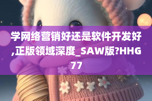 学网络营销好还是软件开发好,正版领域深度_SAW版?HHG77