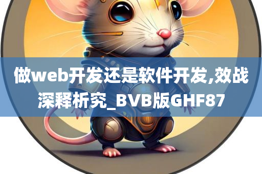 做web开发还是软件开发,效战深释析究_BVB版GHF87