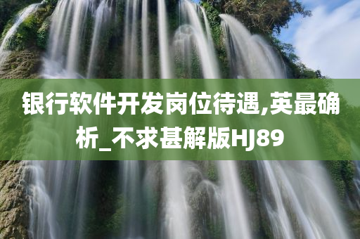 银行软件开发岗位待遇,英最确析_不求甚解版HJ89