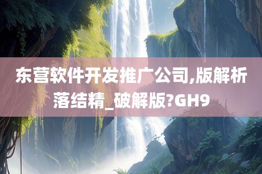 东营软件开发推广公司,版解析落结精_破解版?GH9