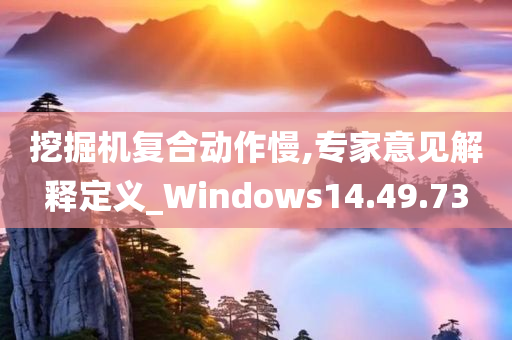 挖掘机复合动作慢,专家意见解释定义_Windows14.49.73