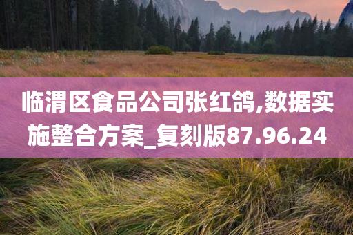 临渭区食品公司张红鸽,数据实施整合方案_复刻版87.96.24