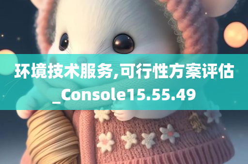 环境技术服务,可行性方案评估_Console15.55.49