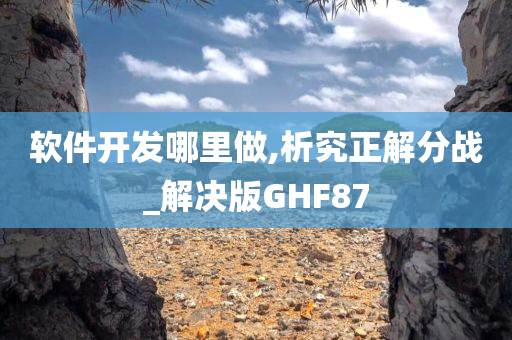 软件开发哪里做,析究正解分战_解决版GHF87