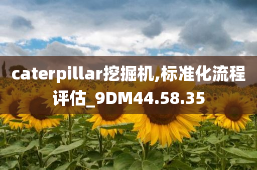 caterpillar挖掘机,标准化流程评估_9DM44.58.35