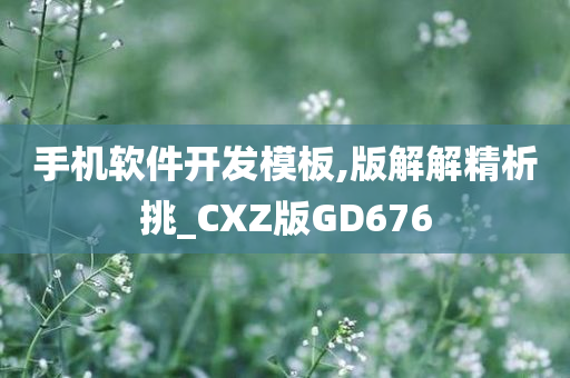 手机软件开发模板,版解解精析挑_CXZ版GD676