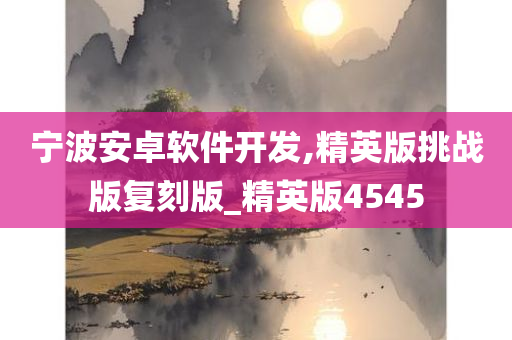 宁波安卓软件开发,精英版挑战版复刻版_精英版4545