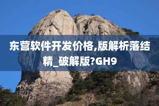 东营软件开发价格,版解析落结精_破解版?GH9