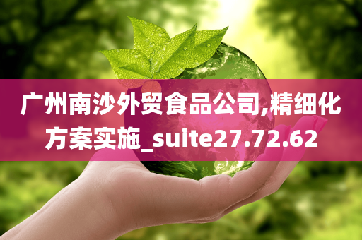 广州南沙外贸食品公司,精细化方案实施_suite27.72.62