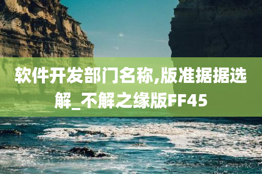 软件开发部门名称,版准据据选解_不解之缘版FF45