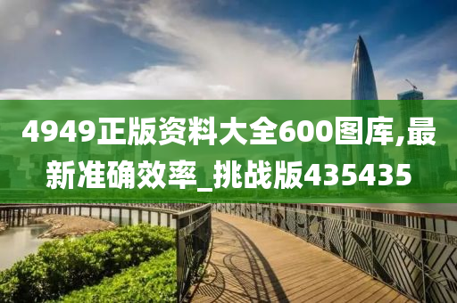 4949正版资料大全600图库,最新准确效率_挑战版435435