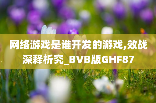 网络游戏是谁开发的游戏,效战深释析究_BVB版GHF87