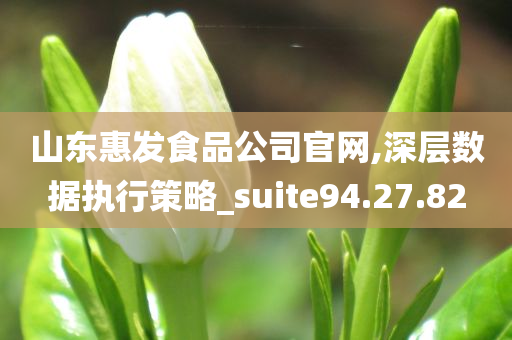 山东惠发食品公司官网,深层数据执行策略_suite94.27.82