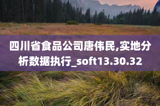 四川省食品公司唐伟民,实地分析数据执行_soft13.30.32