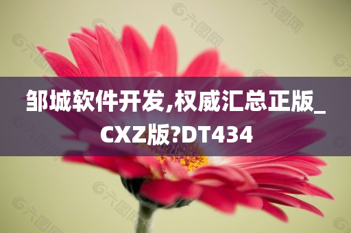 邹城软件开发,权威汇总正版_CXZ版?DT434