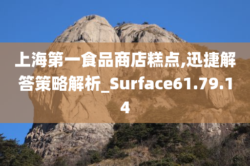 上海第一食品商店糕点,迅捷解答策略解析_Surface61.79.14