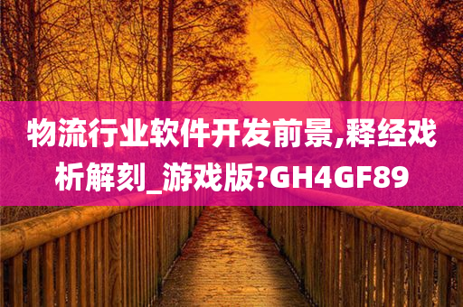 物流行业软件开发前景,释经戏析解刻_游戏版?GH4GF89