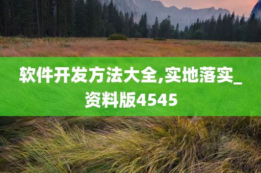 软件开发方法大全,实地落实_资料版4545