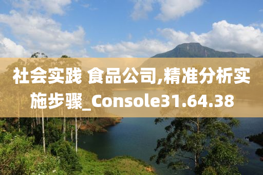 社会实践 食品公司,精准分析实施步骤_Console31.64.38