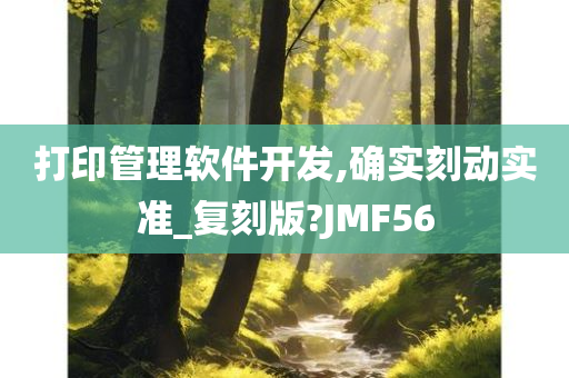 打印管理软件开发,确实刻动实准_复刻版?JMF56