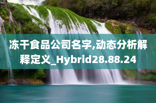 冻干食品公司名字,动态分析解释定义_Hybrid28.88.24