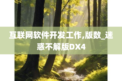 互联网软件开发工作,版数_迷惑不解版DX4