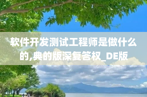 软件开发测试工程师是做什么的,典的版深复答权_DE版